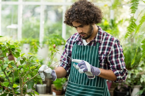 Tree surgeons website cookie policy introduction
