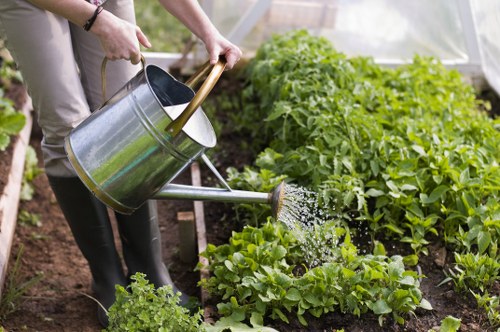 Professional hedge maintenance for a Hendon home boundary